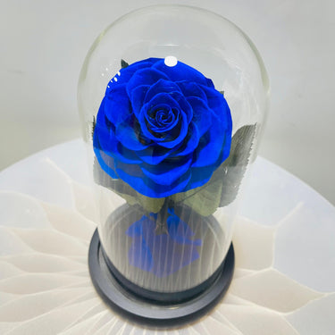 Infinity Blue Preserved Rose in Glass Dome – A Lovely Valentine’s Gift